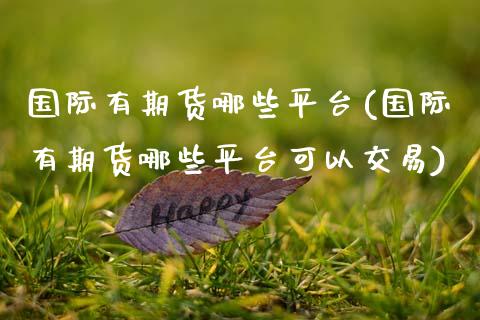 国际有期货哪些平台(国际有期货哪些平台可以交易)