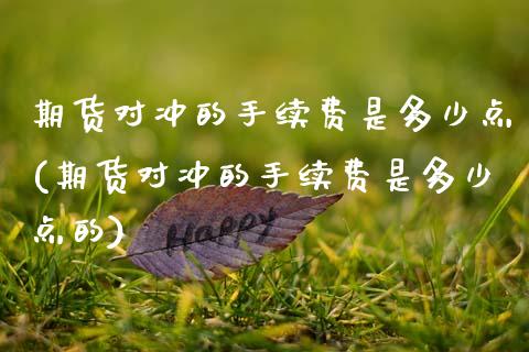 期货对冲的手续费是多少点(期货对冲的手续费是多少点的)