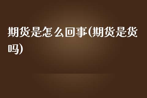 期货是怎么回事(期货是货吗)