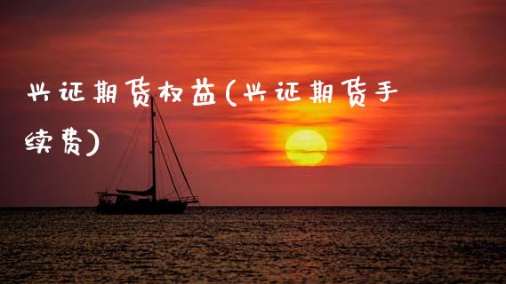 兴证期货权益(兴证期货手续费)