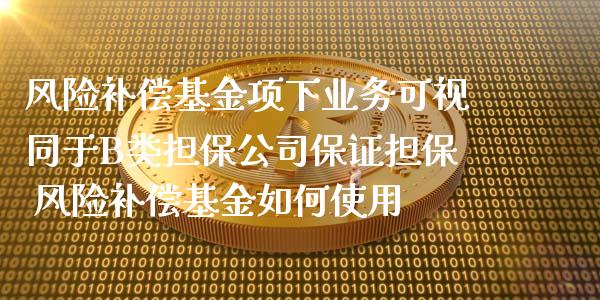 风险补偿基金项下业务可视同于B类公司保证 风险补偿基金如何使用