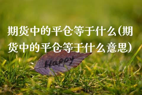 期货中的平仓等于什么(期货中的平仓等于什么意思)