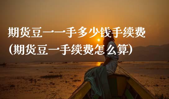 期货豆一一手多少钱手续费(期货豆一手续费怎么算)