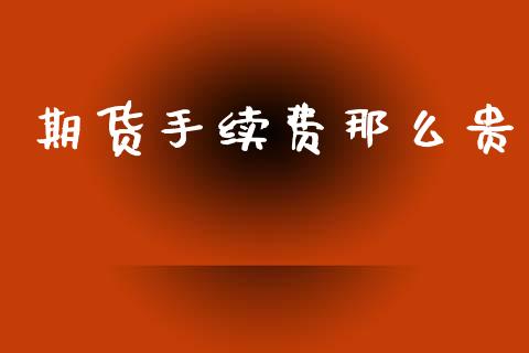 期货手续费那么贵