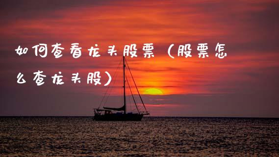 如何查看龙头股票（股票怎么查龙头股）_https://www.dglong8.com_财经要闻_第1张