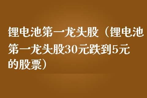 锂电池第一龙头股（锂电池第一龙头股30元跌到5元的股票）