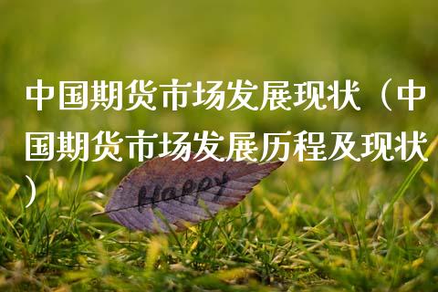 中国期货市场发展现状（中国期货市场发展历程及现状）