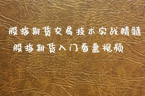 股指期货交易技术实战精髓 股指期货入门看盘视频