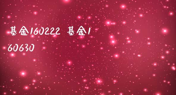 基金160222 基金160630