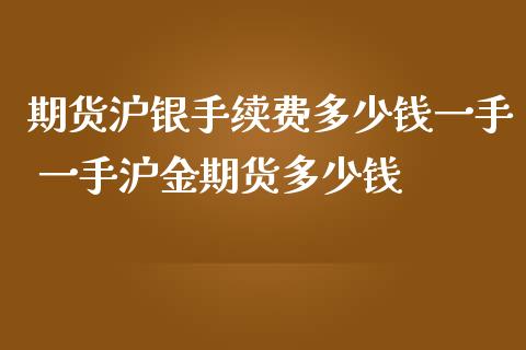 期货沪银手续费多少钱一手 一手沪金期货多少钱