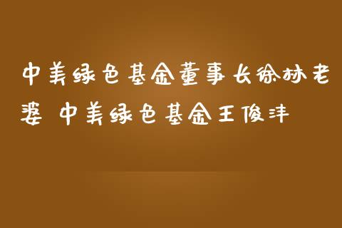 中美绿色基金徐林老婆 中美绿色基金王俊沣
