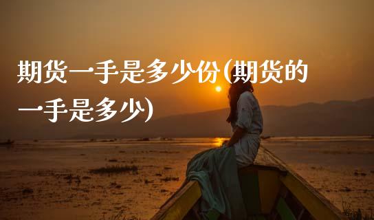 期货一手是多少份(期货的一手是多少)