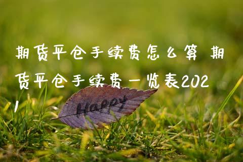 期货平仓手续费怎么算 期货平仓手续费一览表2021_期货理财_第1张_宇龙理财网 期货平仓手续费怎么算 期货平仓手续费一览表2021_https://www.dglong8.com_期货理财_第1张