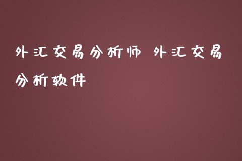 外汇交易分析师 外汇交易分析软件