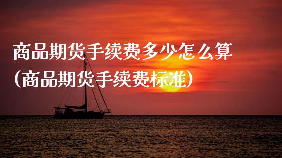 商品期货手续费多少怎么算(商品期货手续费标准)