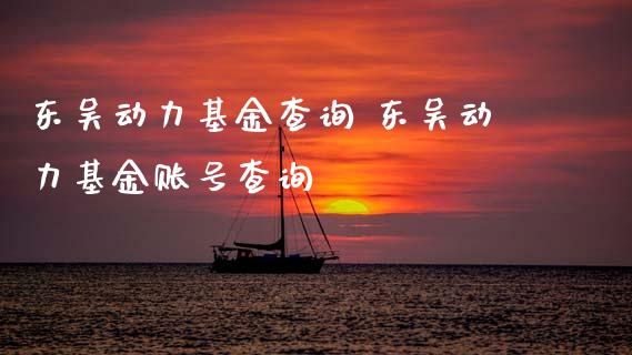 东吴动力基金查询 东吴动力基金账号查询