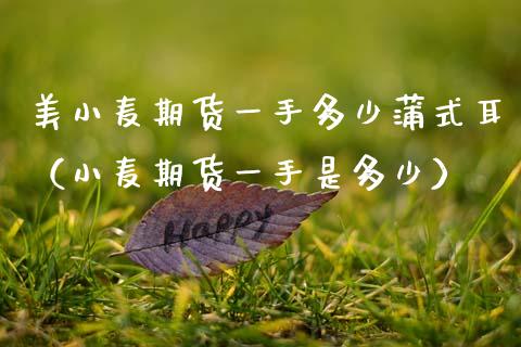 美小麦期货一手多少蒲式耳（小麦期货一手是多少）