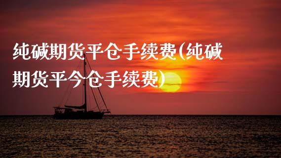 纯碱期货平仓手续费(纯碱期货平今仓手续费)