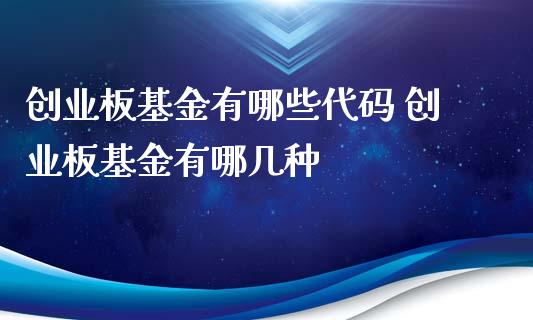 创业板基金有哪些代码 创业板基金有哪几种