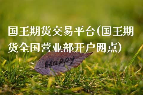 国王期货交易平台(国王期货全国开户网点)