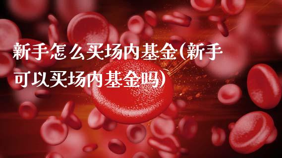 新手怎么买场内基金(新手可以买场内基金吗)