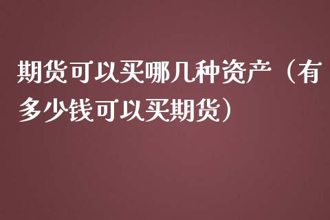 期货可以买哪几种资产（有多少钱可以买期货）