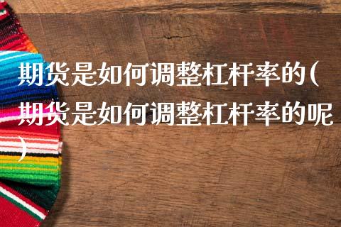 期货是如何调整杠杆率的(期货是如何调整杠杆率的呢)