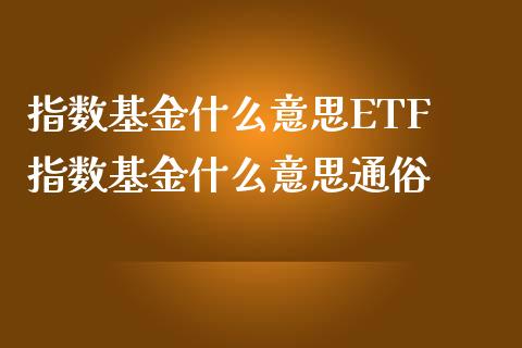 指数基金什么意思ETF 指数基金什么意思通俗
