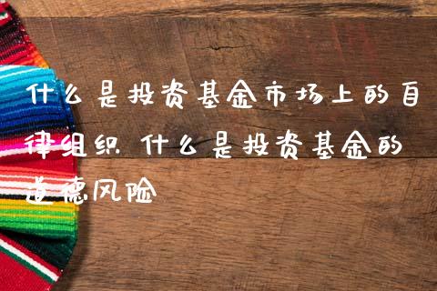 什么是投资基金市场上的自律组织 什么是投资基金的道德风险