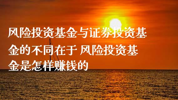 风险投资基金与证券投资基金的不同在于 风险投资基金是怎样赚钱的_https://www.dglong8.com_基金理财_第1张
