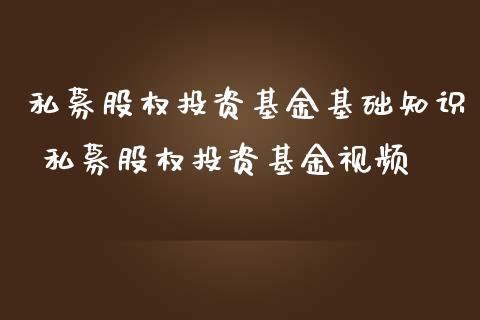 私募股权投资基金基础知识 私募股权投资基金视频