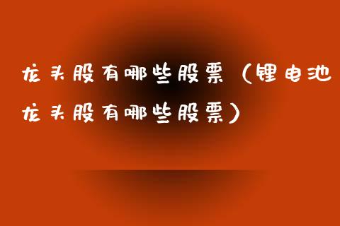 龙头股有哪些股票（锂电池龙头股有哪些股票）
