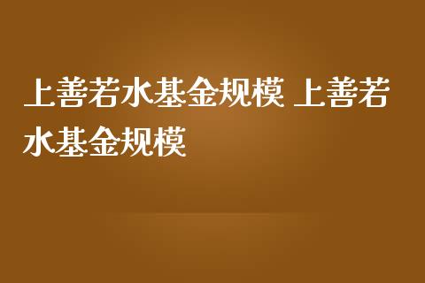 上善若水基金规模 上善若水基金规模