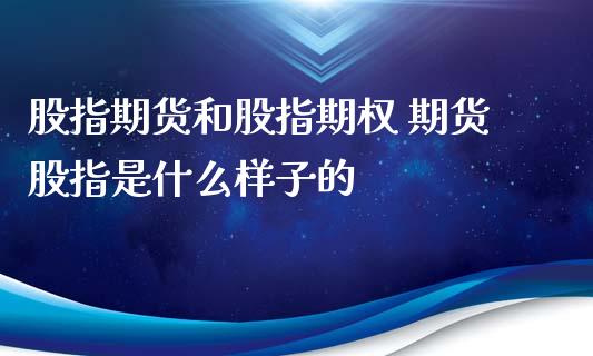 股指期货和股指期权 期货股指是什么样子的