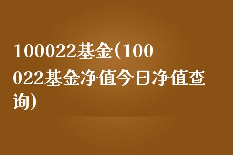 100022基金(100022基金净值今日净值查询)
