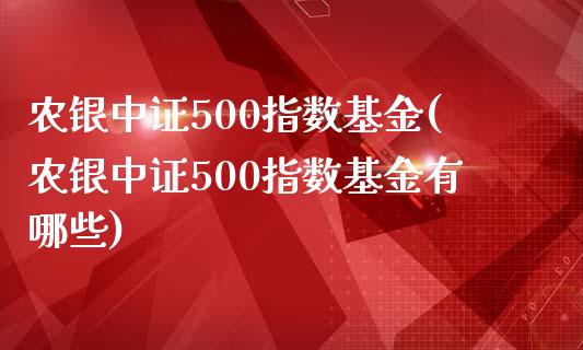 农银中证500指数基金(农银中证500指数基金有哪些)