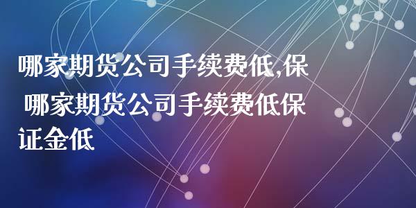哪家期货公司手续费低,保 哪家期货公司手续费低保证金低