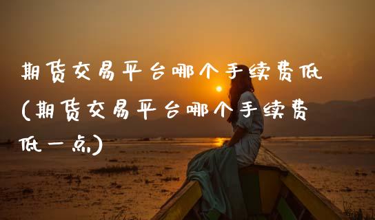 期货交易平台哪个手续费低(期货交易平台哪个手续费低一点)