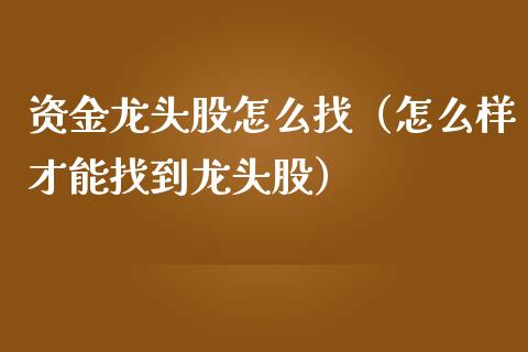 资金龙头股怎么找（怎么样才能找到龙头股）