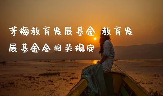 芳梅教育发展基金 教育发展基金会相关规定