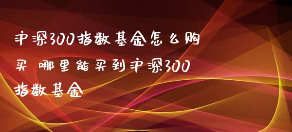 沪深300指数基金怎么购买 哪里能买到沪深300指数基金_https://www.dglong8.com_期货理财_第1张