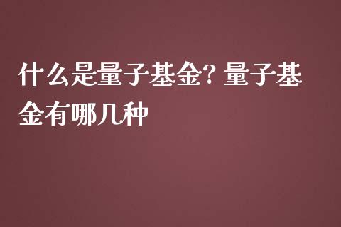 什么是量子基金? 量子基金有哪几种_基金理财_第1张_宇龙理财网 什么是量子基金? 量子基金有哪几种_https://www.dglong8.com_基金理财_第1张