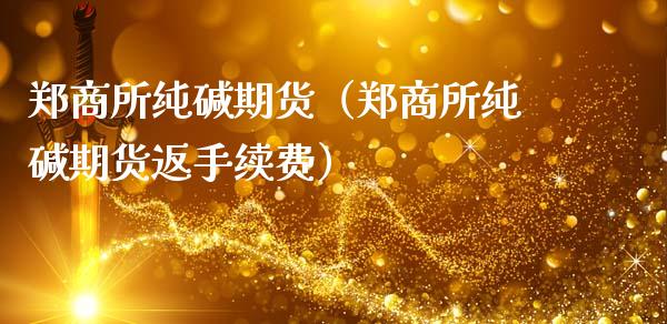 郑商所纯碱期货（郑商所纯碱期货返手续费）