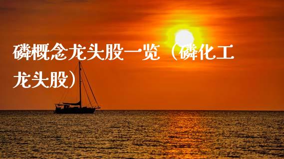 概念龙头股一览（化工龙头股）