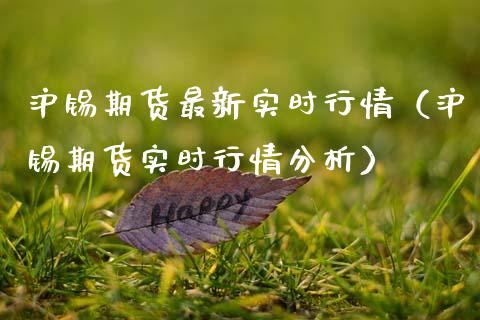 沪锡期货最新实时行情（沪锡期货实时行情分析）