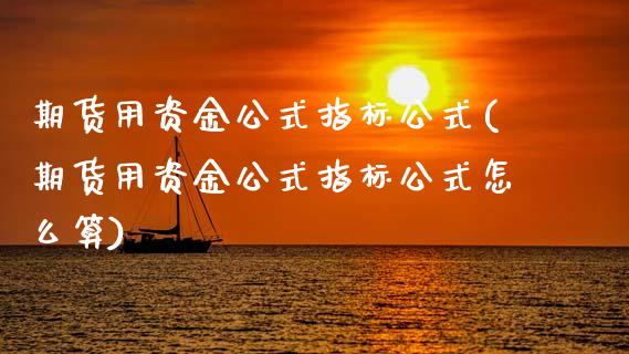 期货用资金公式指标公式(期货用资金公式指标公式怎么算)