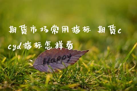 期货市场常用指标 期货ccyd指标怎样看