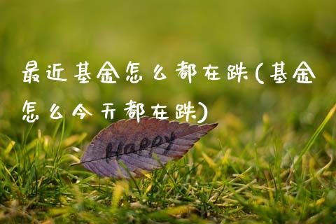 最近基金怎么都在跌(基金怎么今天都在跌)