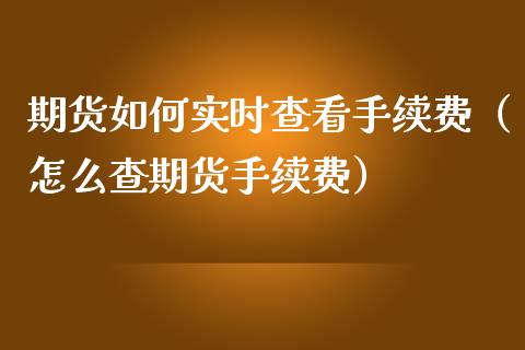 期货如何实时查看手续费（怎么查期货手续费）