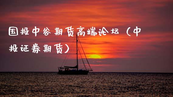 国投中谷期货高端（中投证券期货）